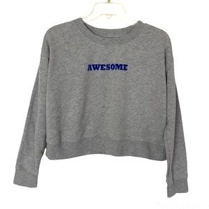 Dip Gray Cropped Awesome Sweatshirt